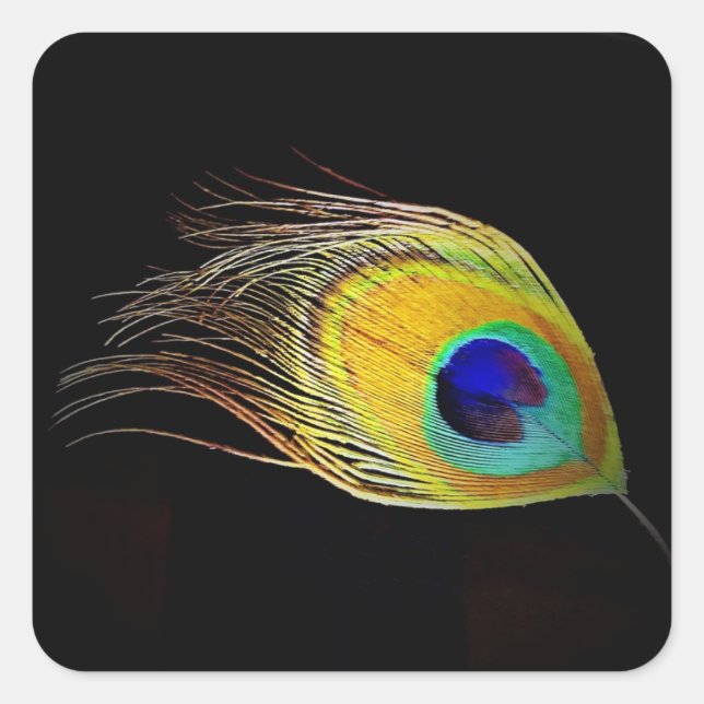 Carré Sticker Peacock's Feather (Devant)