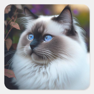 Carré Sticker pour chats à molette et à poudre