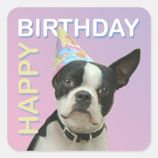 Carré Sticker pour l'anniversaire de Boston Terrier