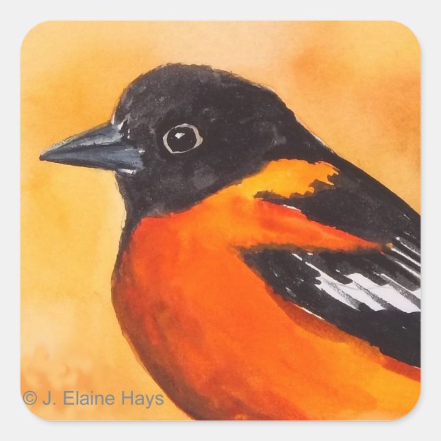 Carré Sticker pour oiseaux Oriole Baltimore (Devant)