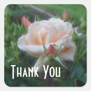 Carré Sticker Rose  Fleur Merci