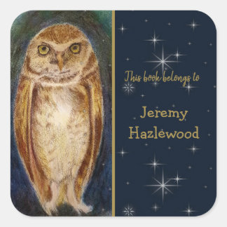 Carré Sticker Slegme Bookplate Personnalisé Wise Owl
