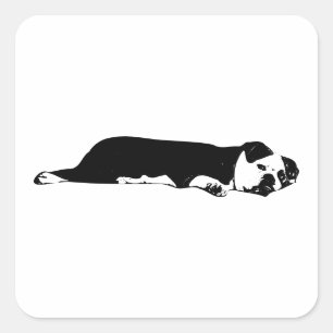 Carré Sticker Sprawl Bulldog