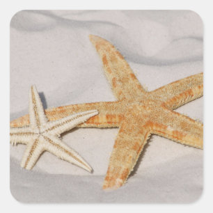 Carré Sticker Starfish