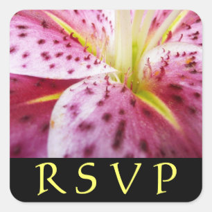 Carré Sticker Stargazer Lily Rose Floral RSVP