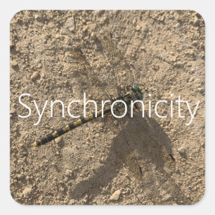Carré Sticker 'Synchronicity'