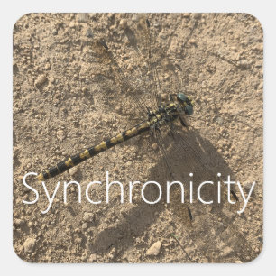 Carré Sticker 'Synchronicity'