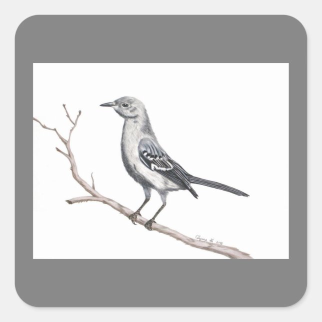 Carré Sticker Texas Mockingbird (Devant)