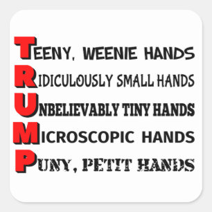Carré Sticker Trump à petites mains (blanc)