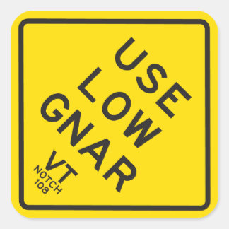 Carré Sticker "Use Low Gnar"