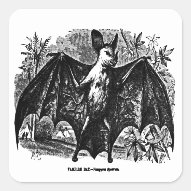 Carré Sticker Vampire vintage (Devant)