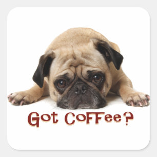 Carré T'as du café ? Sticker carlin