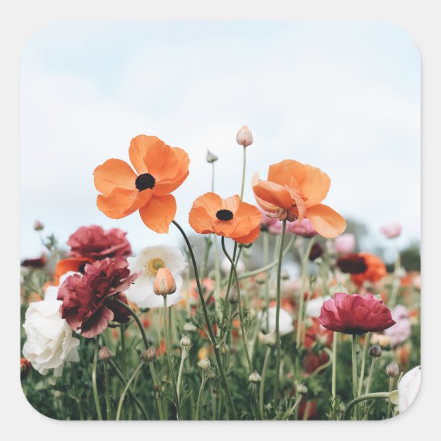 Carré Trio of Flowers Sticker (Devant)