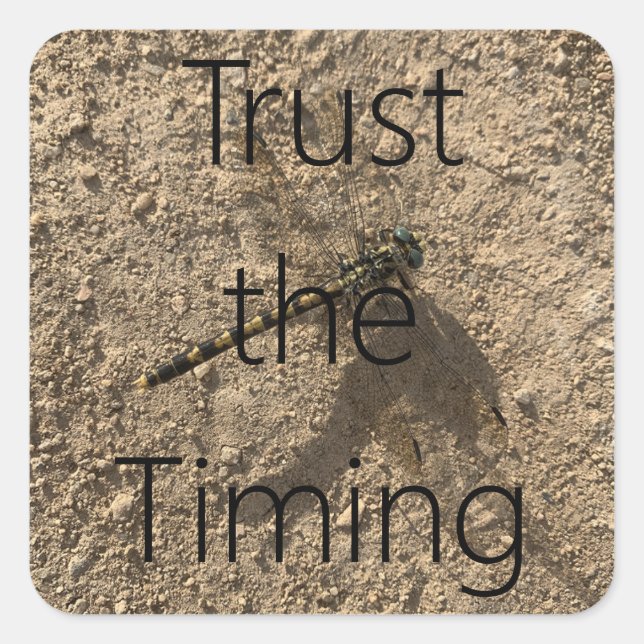 Carré Trust The Timing - Sticker (Devant)