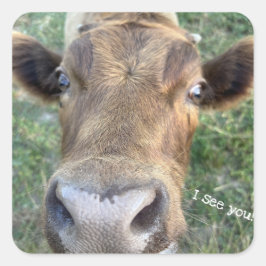 Carré Vache adorable Être Sticker Nosey