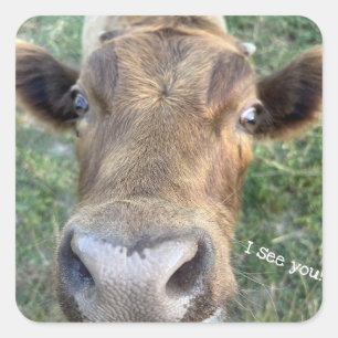 Carré Vache adorable Être Sticker Nosey