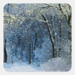 Carré Winter Wonderland Sticker magique Sun Glittery