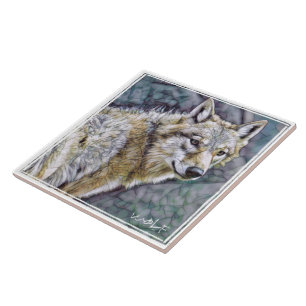 CARREAU オ オ カ ミ