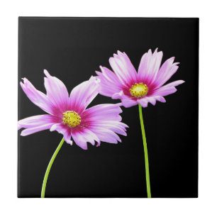 Carreau 2 Cosmos