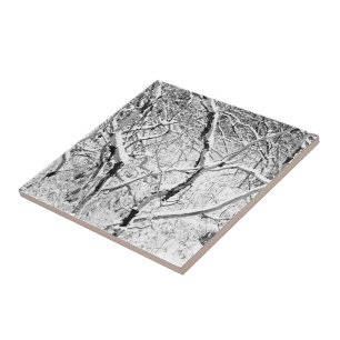 Carreau à la maison dans la neige