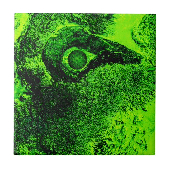 Carreau à la recherche de vert (Devant)