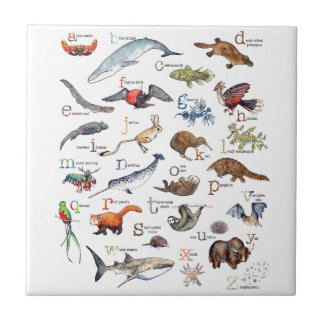 Carreau A-Z des animaux extraordinaires