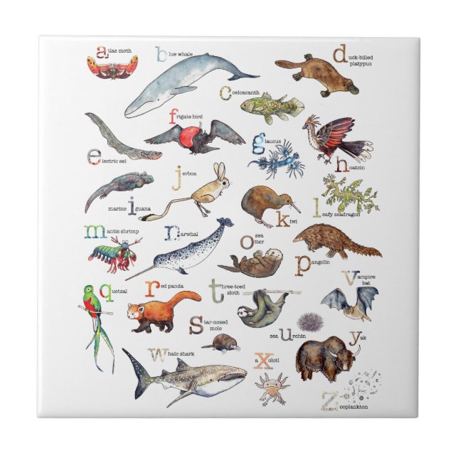 Carreau A-Z des animaux extraordinaires (Devant)