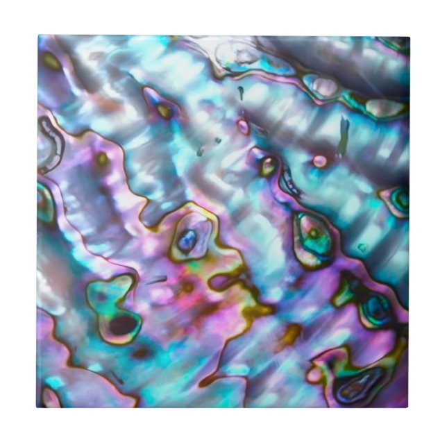 Carreau Abalone Ceramic Tile (Devant)