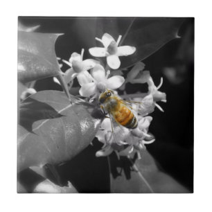 Carreau Abeille et houx de miel