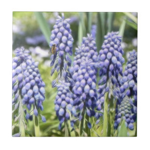 Carreau Abeille sur des fleurs de Muscari