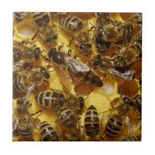 Carreau Abeilles de miel dans la ruche avec la reine au