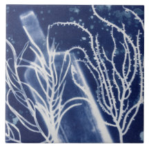 Accent Cyanotype de Plage Nautique