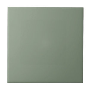 Carreau Accessoires de décoration intérieure Vert sauge