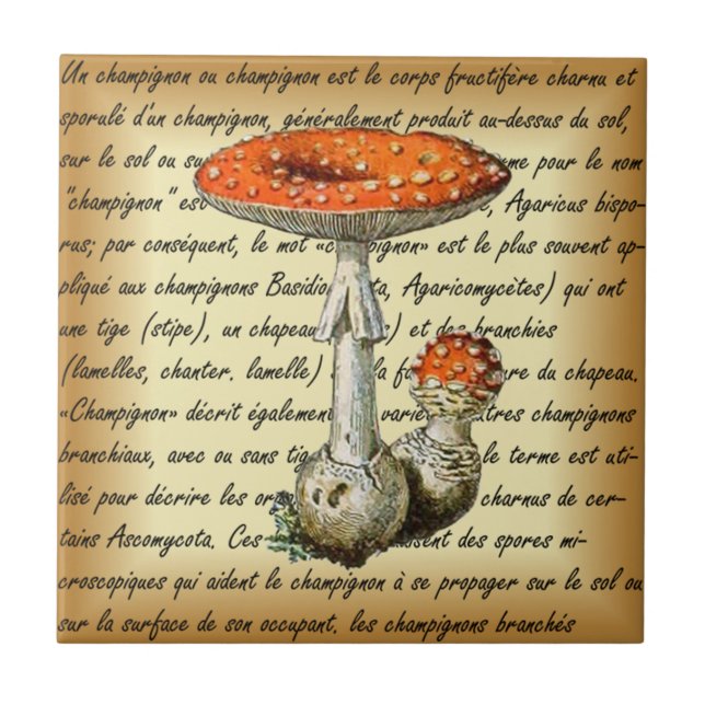 Carreau Adolphe Millot ~ Champignons-pour tous fixes ~  (Devant)