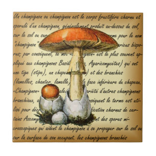 Carreau Adolphe Millot ~ Champignons-pour tous fixes ~ 