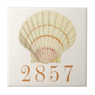 Carreau Adresse de la maison de coquillages de coquillages