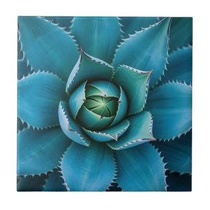 Carreau Agave Succulent Géométrique Turquoise Vibrant en M