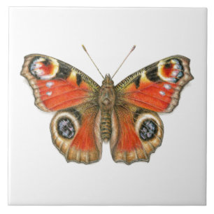 Carreau Aglais E/S - Papillon de paon en céramique