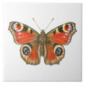 Carreau Aglais E/S - Papillon de paon en céramique
