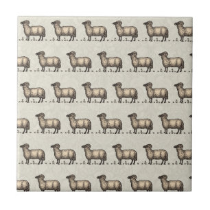Carreau Agneau de mouton Vintage animal de ferme