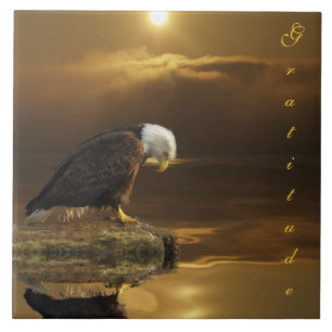 Carreau Aigle de chauve Gratitude Carrelage décoratif plus