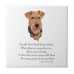Carreau Airedale, Welsh, Lakeland Terrier Souvenir