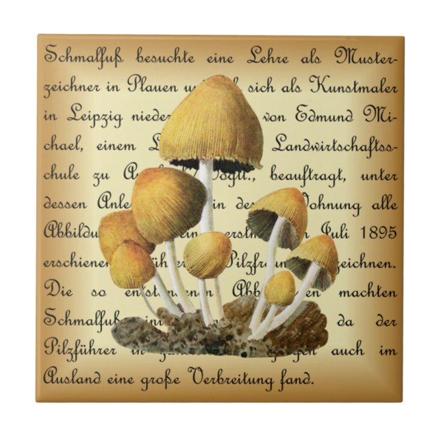 Carreau Albin Schmalfuß ~ Glimmertintling-1~ Champignons ~ (Devant)