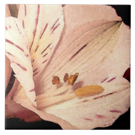 Carreau Alstroemeria en fleurs