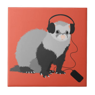 Carreau Amateur de musique furet drôle