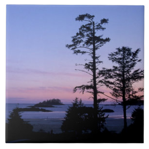 Carreau Amérique du Nord, Canada, île de Vancouver, arbr