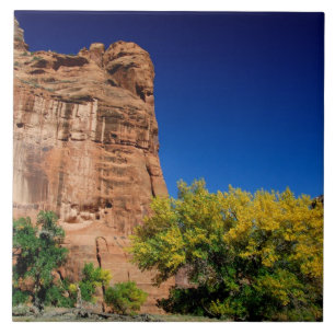 Carreau Amérique du Nord, États-Unis, Arizona, Indien Nava