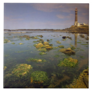 Carreau Amérique du Sud, Uruguay, Punta Jose Ignacio,