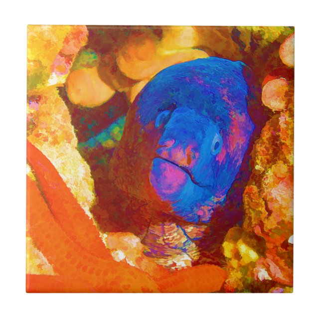 Carreau Anguille de Moray (Devant)