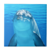 Animal marin de dauphin mignon en mer bleue